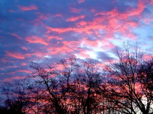 By Dana Ross Martin, (CC BY-NC-ND 2.0), via flickr