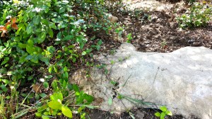 I can now see rocks!