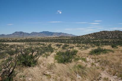 Photo courtesy of xandert