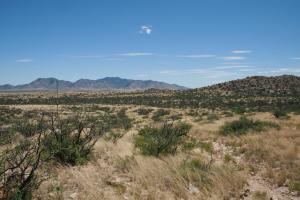 Photo courtesy of xandert